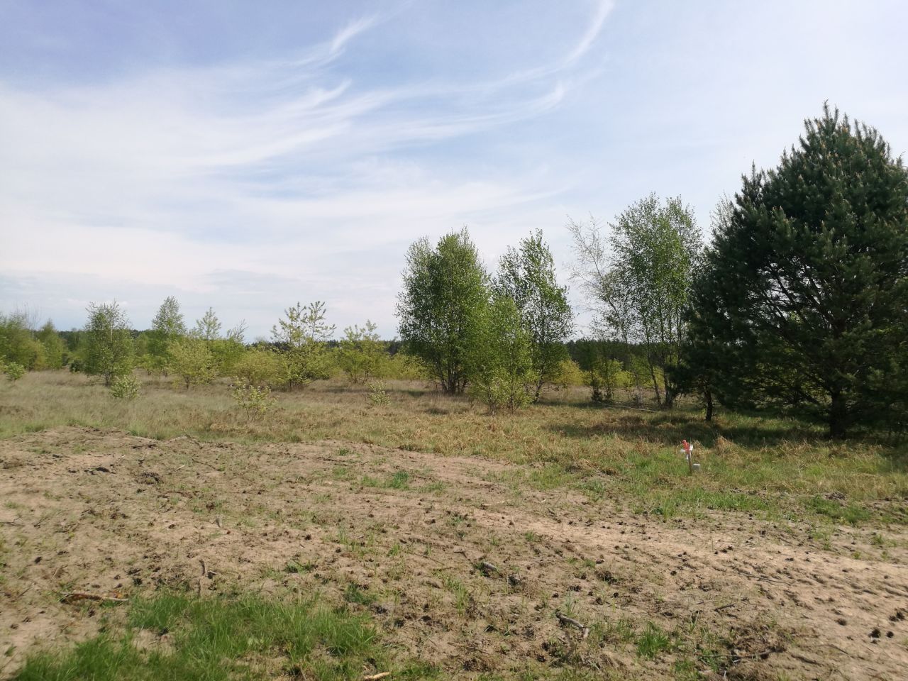 Działka budowlana Skórka. Zdjęcie 6