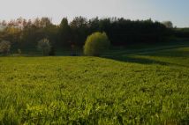 Działka rolno-budowlana Tuchów, ul. bp. Leona Wałęgi