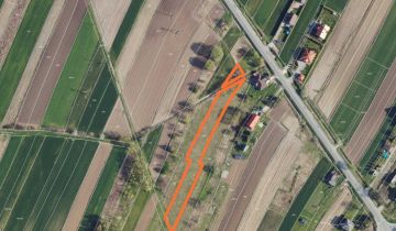 Działka rolno-budowlana Miechów, Partyzantów, Warszawska ( Dawna Droga do Siedlisk)
