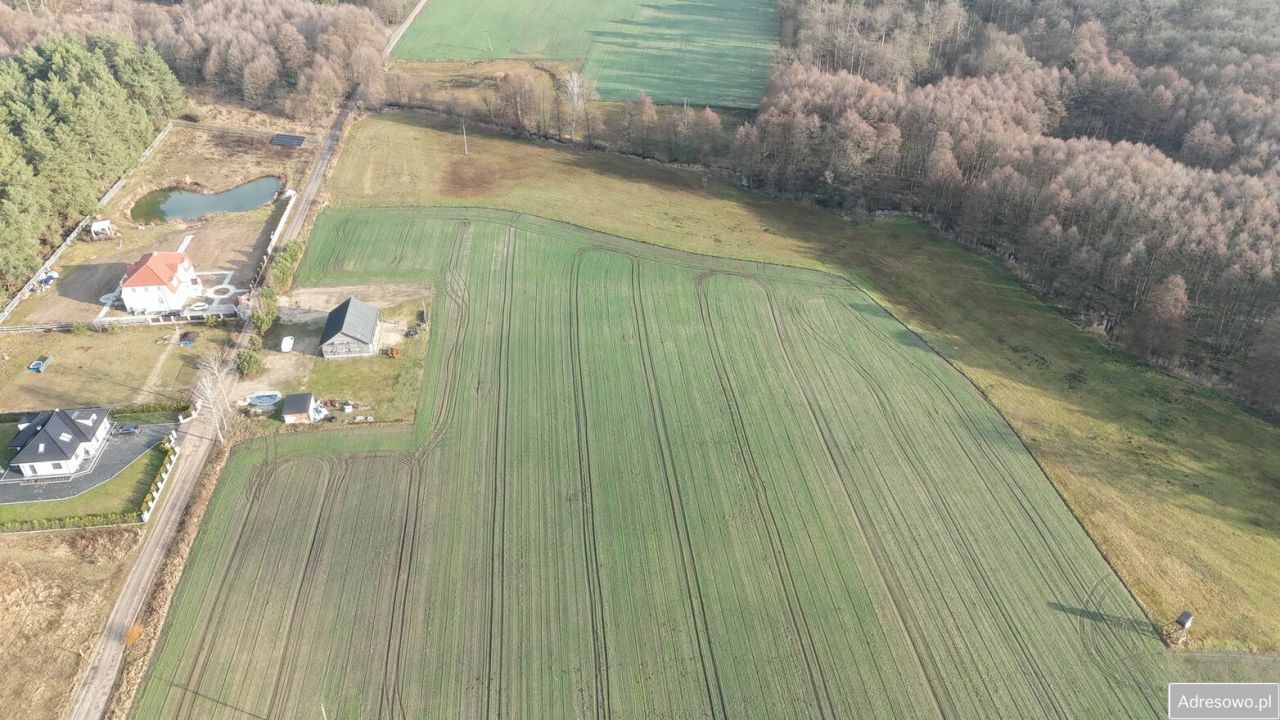 Działka budowlana Bolewicko. Zdjęcie 2