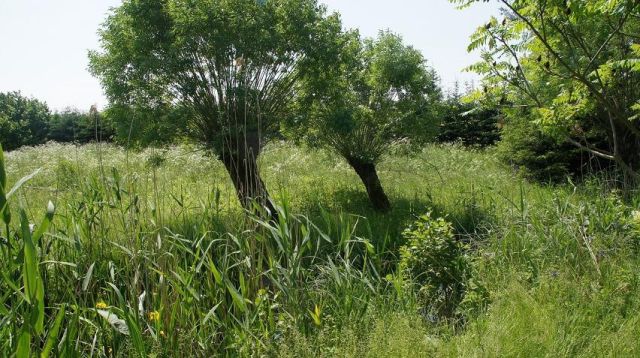 Działka budowlana Rukławki. Zdjęcie 1