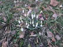 Działka rod Cieszyn. Zdjęcie 2