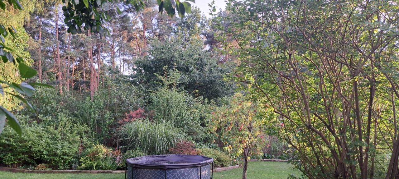 dom letniskowy Komprachcice. Zdjęcie 5