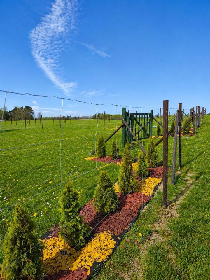 Działka rekreacyjna Orzechowo. Zdjęcie 3