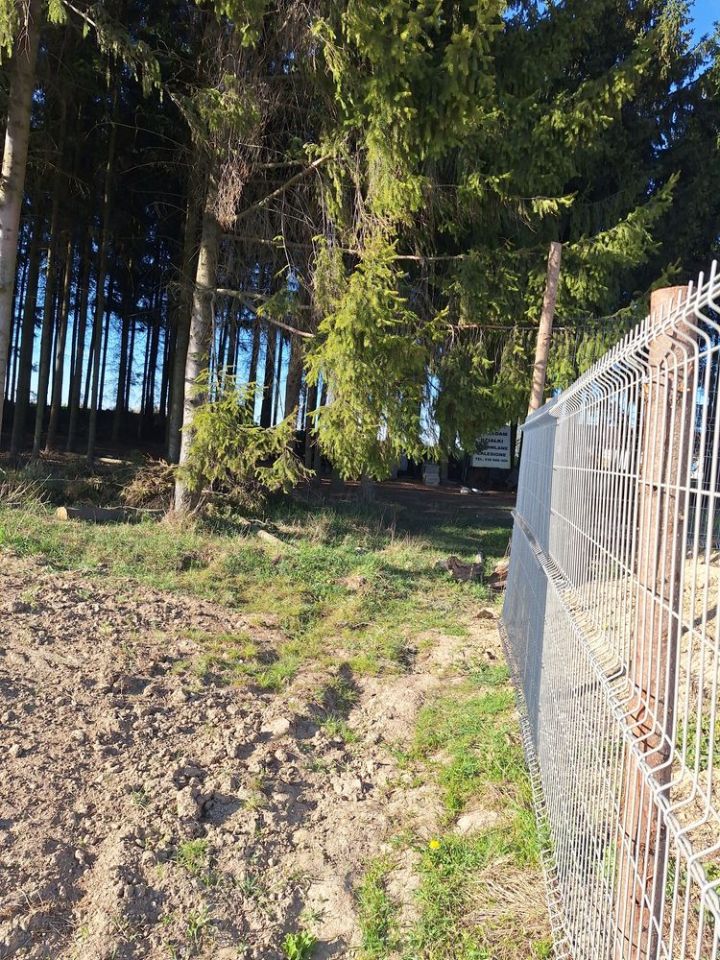 Działka budowlana Maszki. Zdjęcie 5