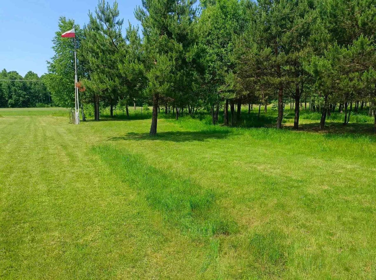 Działka inwestycyjna Nowek. Zdjęcie 3