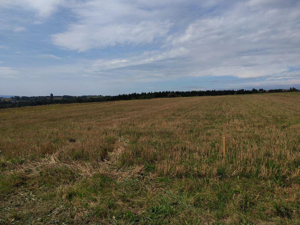 Działka budowlana Biesna. Zdjęcie 7