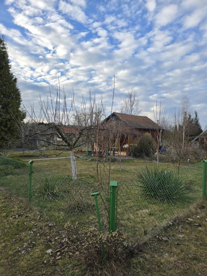 Działka rod Połaniec, ul. Działkowców. Zdjęcie 4