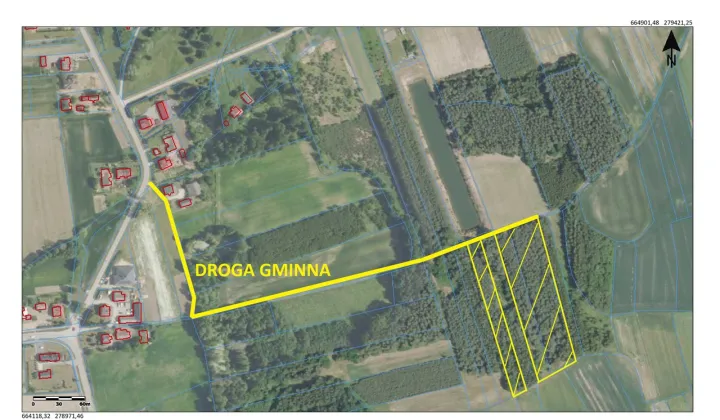 Działka leśna Łysaków