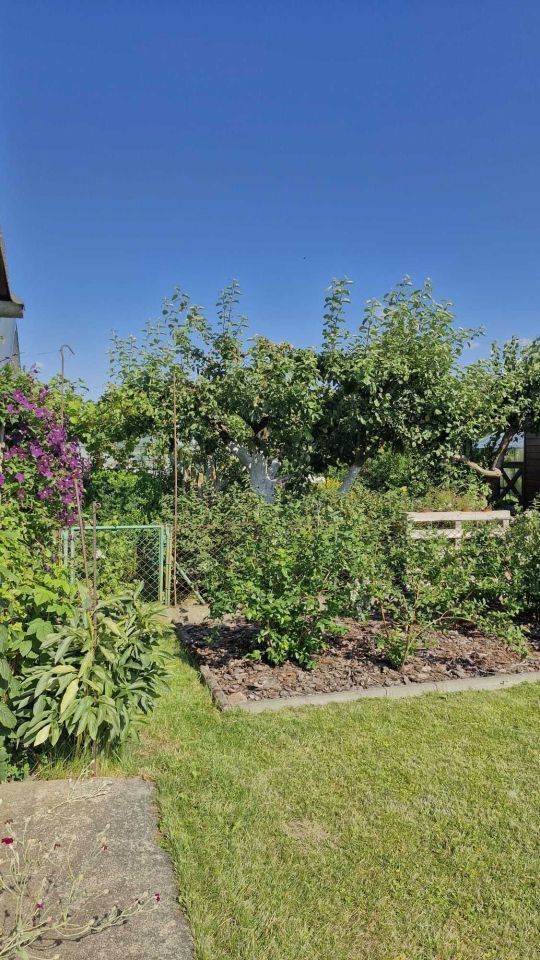 Działka rod Koszalin Jamno, ul. Władysława IV. Zdjęcie 6