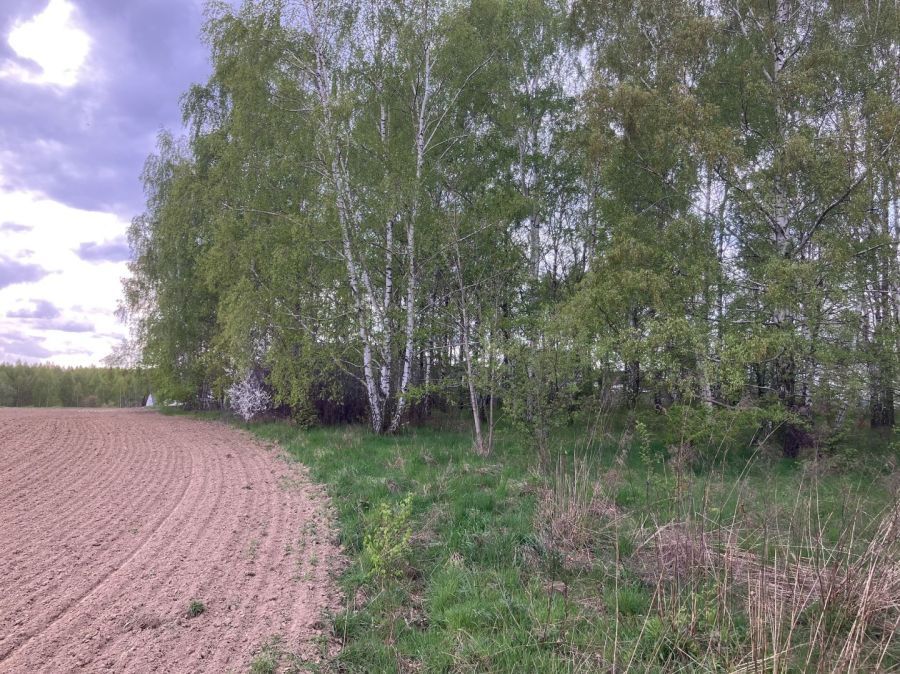 Działka budowlana Jagatowo, ul. Maślakowa. Zdjęcie 10