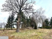 Działka siedliskowa Wilków Średzki Wnorów. Zdjęcie 4