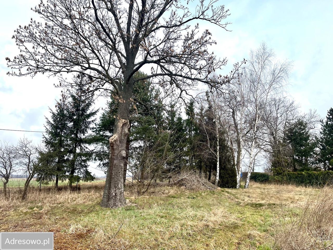 Działka siedliskowa Wilków Średzki Wnorów. Zdjęcie 5