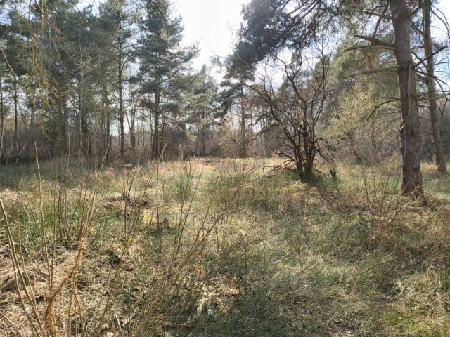 Działka rekreacyjna Pogorzelec. Zdjęcie 1