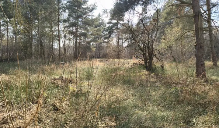 Działka rekreacyjna Pogorzelec