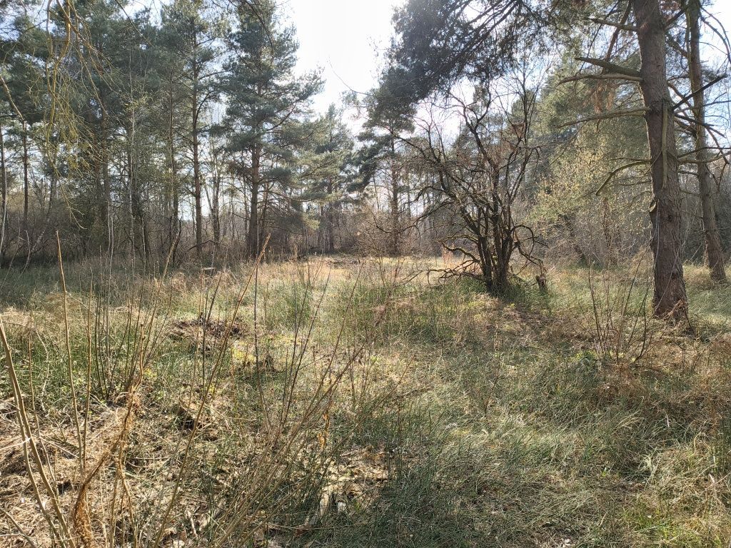 Działka rekreacyjna Pogorzelec. Zdjęcie 1