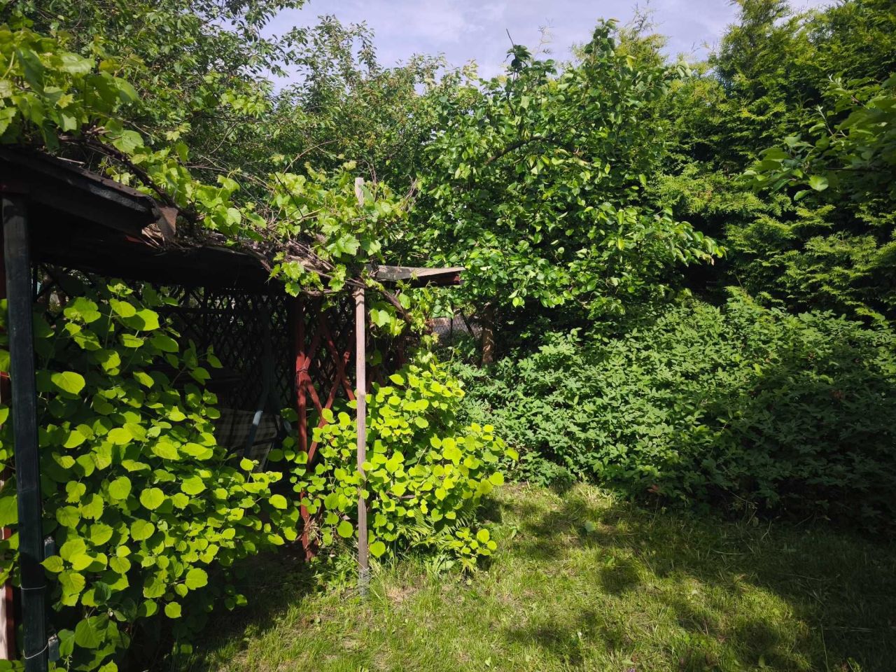 Działka rod Olsztyn. Zdjęcie 5