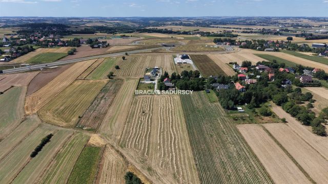Działka budowlana Zalesie. Zdjęcie 5