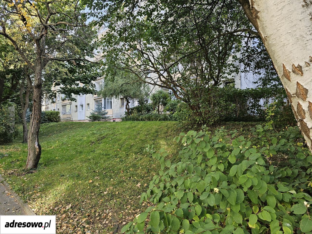 Mieszkanie 2-pokojowe Łódź Bałuty, ul. Antoniego Mackiewicza. Zdjęcie 13