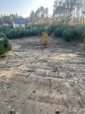 Działka rolna Cieciorka. Zdjęcie 4