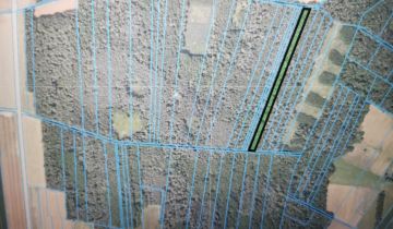 Działka leśna Sady