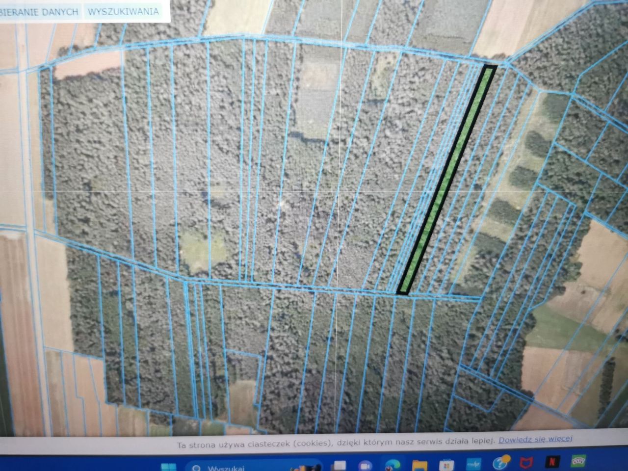 Działka leśna Sady