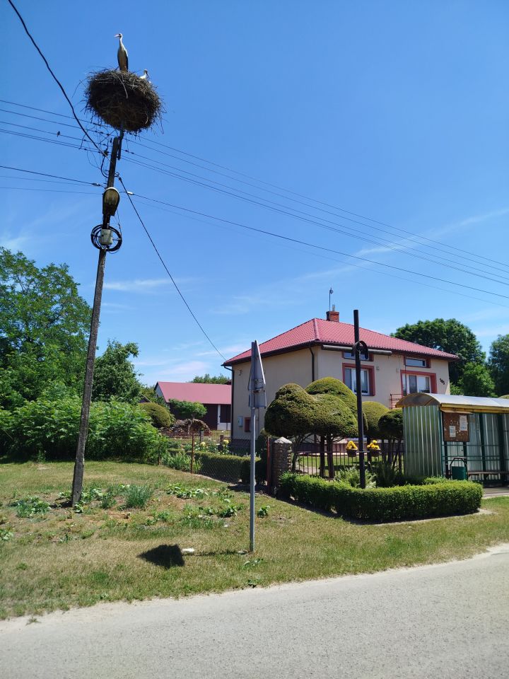 dom wolnostojący, 4 pokoje Rybie Majdan. Zdjęcie 3