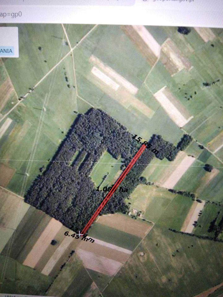 Działka leśna Kramkówka Duża. Zdjęcie 4