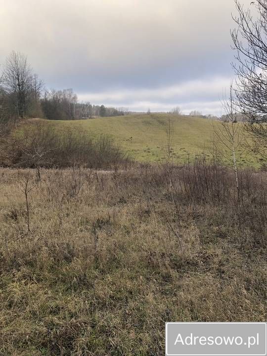 Działka rekreacyjna Stary Gieląd. Zdjęcie 3