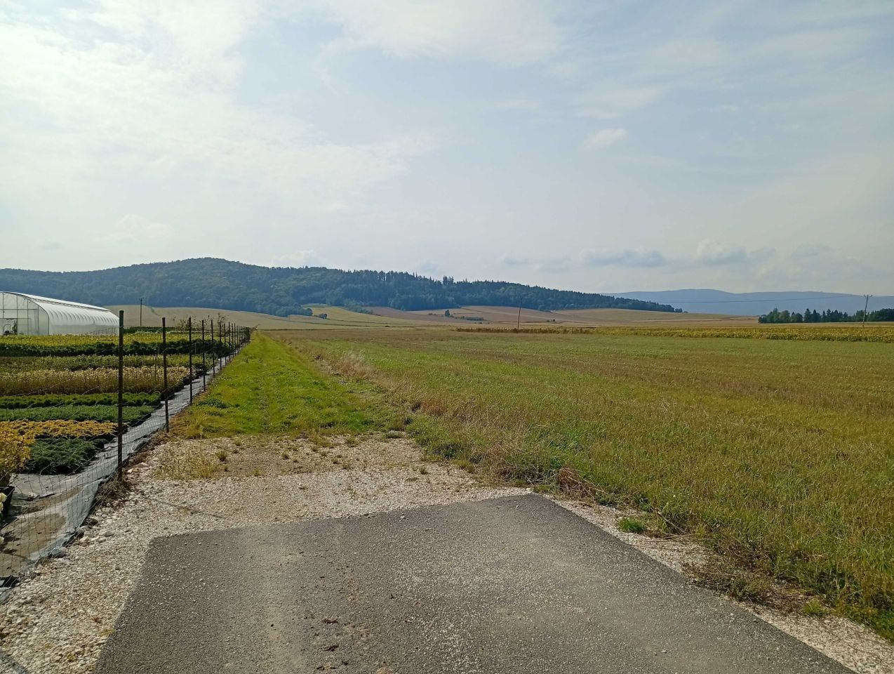 Działka budowlana Żelazno. Zdjęcie 1