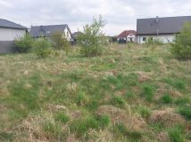 Działka rolno-budowlana Żdżary. Zdjęcie 3