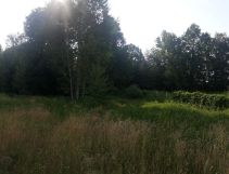 Działka rolno-budowlana Nowy Orzechów. Zdjęcie 4