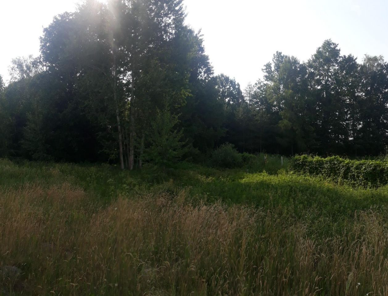 Działka rolno-budowlana Nowy Orzechów. Zdjęcie 5