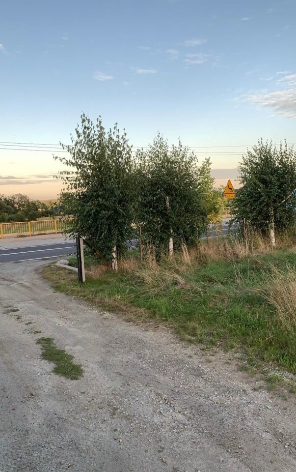 Działka budowlana Szymanów Siodłkowice. Zdjęcie 5