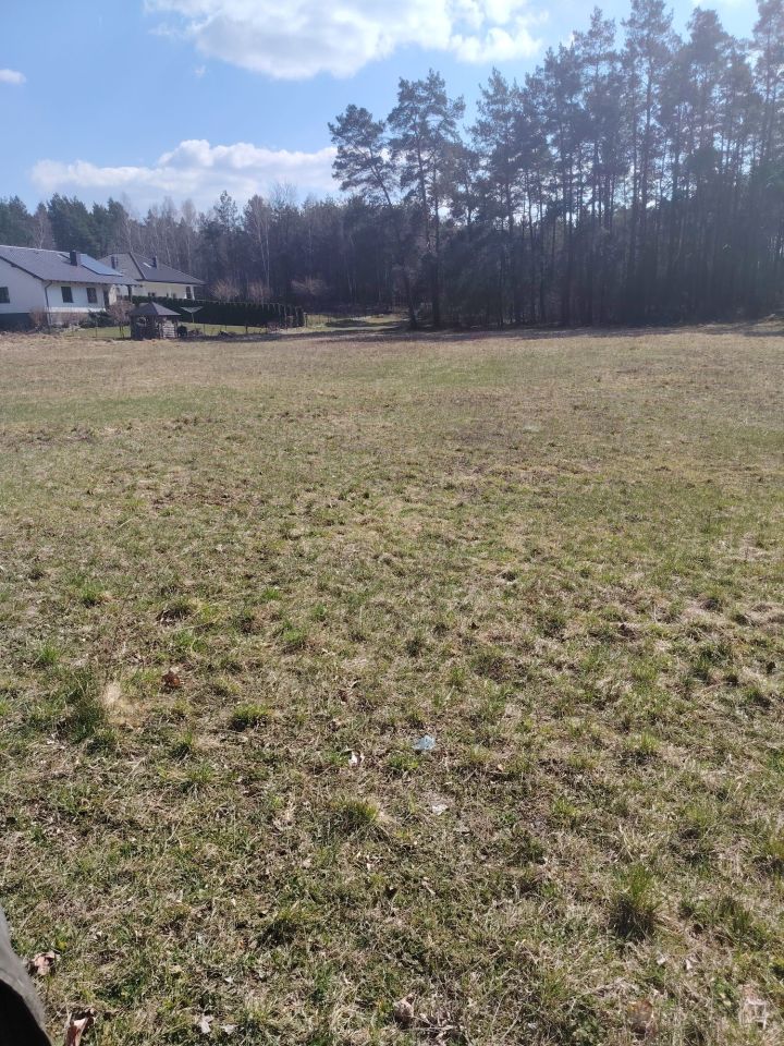 Działka rolno-budowlana Godzimierz. Zdjęcie 4