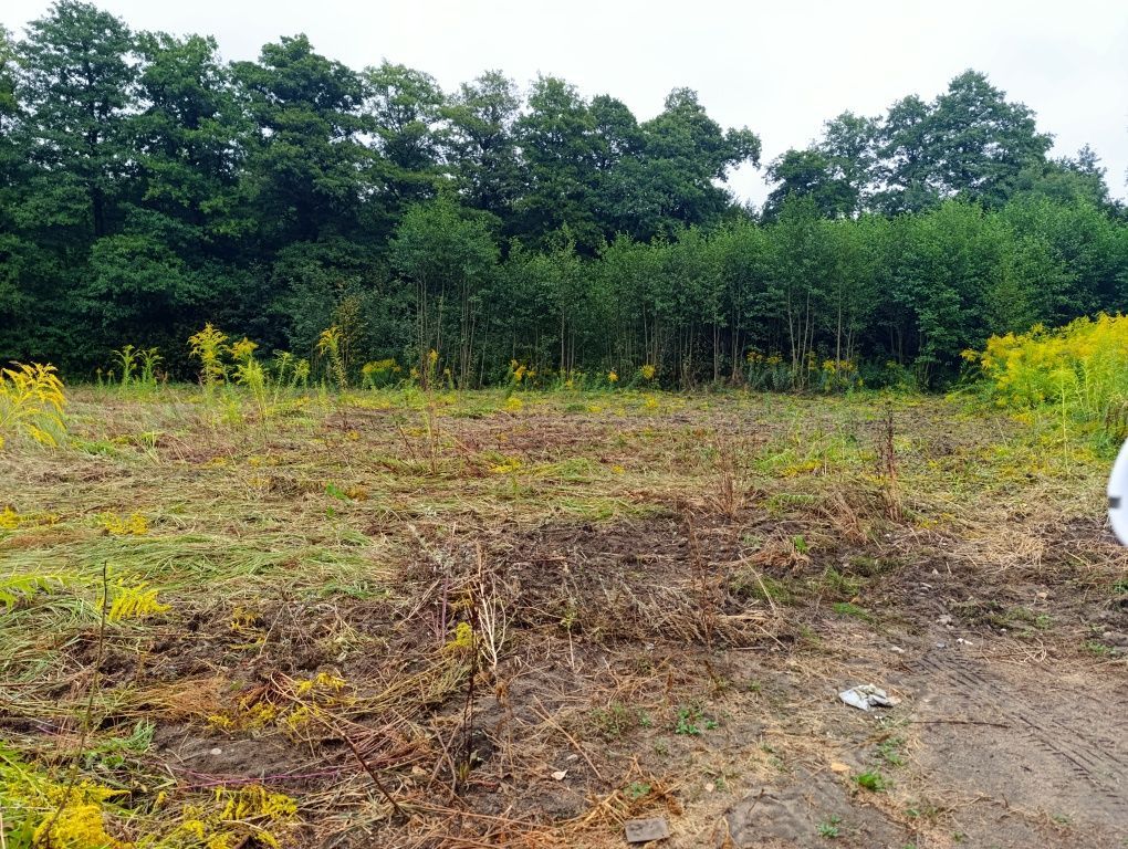 Działka budowlana Gębarzów-Kolonia. Zdjęcie 1