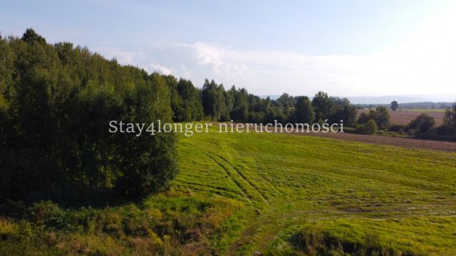 Działka rolna Młyńsko. Zdjęcie 1
