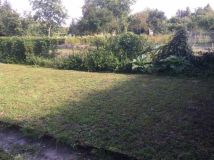 Działka rod Rypin. Zdjęcie 3