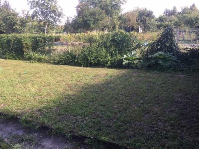 Działka rod Rypin. Zdjęcie 4