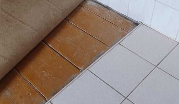 dom wolnostojący Pilec