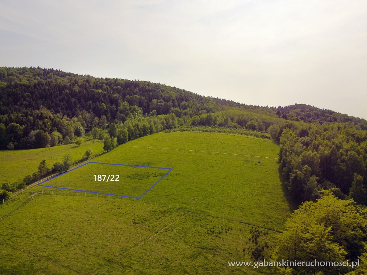 Działka budowlana Słona. Zdjęcie 2