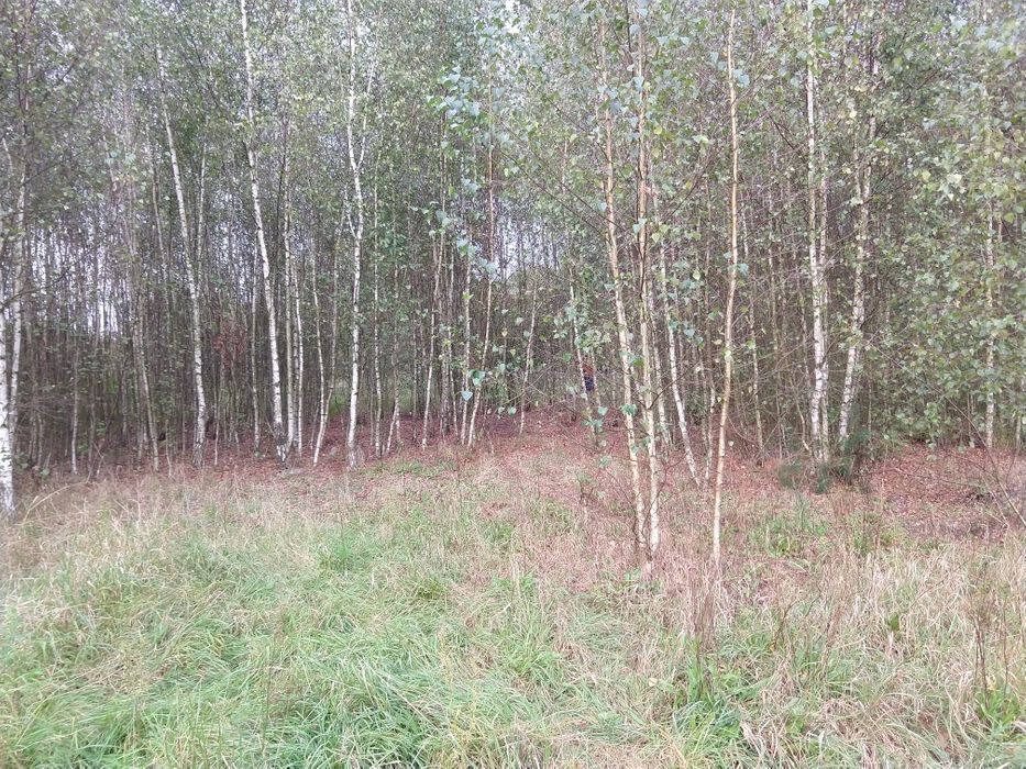 Działka rolna Chełmżyca. Zdjęcie 6