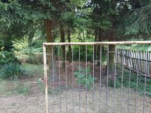 Działka rolno-budowlana Stary Boguszyn. Zdjęcie 4