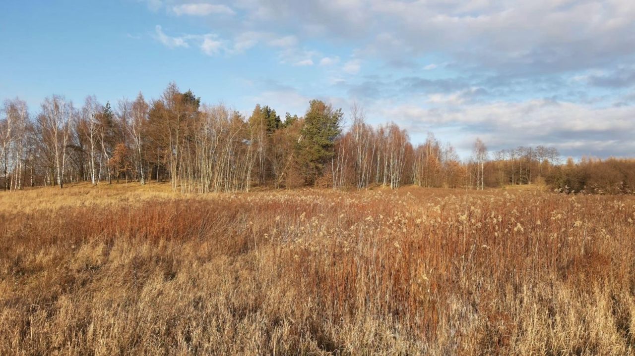 Działka budowlana Żarska Wieś. Zdjęcie 10