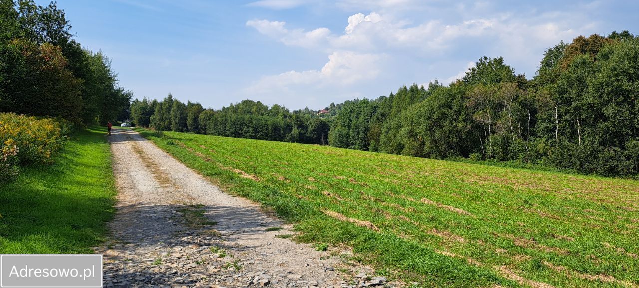 Działka inwestycyjna Grajów. Zdjęcie 3