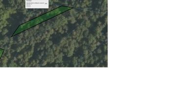 Działka leśna Bielcza