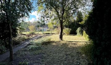 Działka rod Gdynia Babie Doły, ul. Zielona