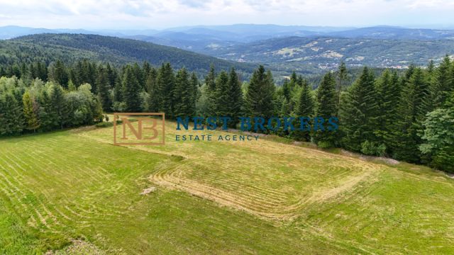 Działka inwestycyjna Bogdanówka. Zdjęcie 1