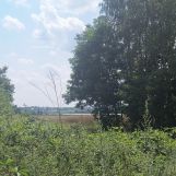 Działka rolno-budowlana Bęczkowice Poduchowne. Zdjęcie 3