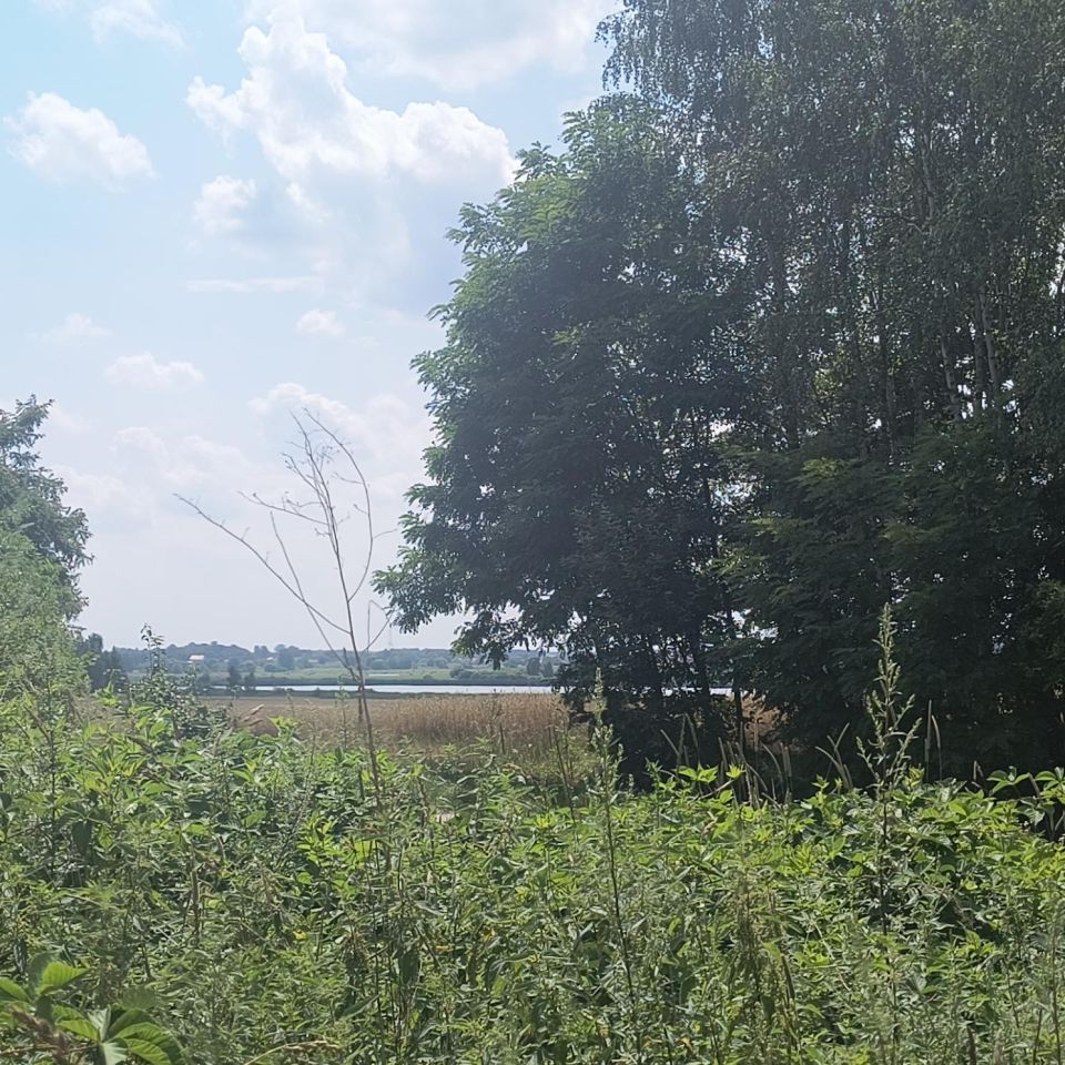 Działka rolno-budowlana Bęczkowice Poduchowne. Zdjęcie 4